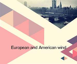 European and American wind ppt