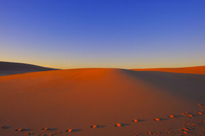 砂漠の風景の高精細PPTの背景