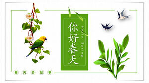 Зеленое растение, ласточка, попугай, небольшой свежий фон, привет, весна, шаблон PPT