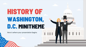 華盛頓特區迷你主題的歷史