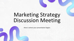 Marketing Strategy Discussion Meeting