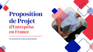 Предложение французского бизнес-проекта