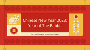 Chinese New Year 2023: Year of The Rabbit