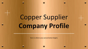 Perfil de la empresa proveedora de cobre
