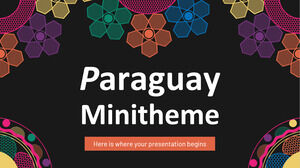 Paraguay-Minithema