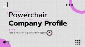 Profilo aziendale della sedia elettrica