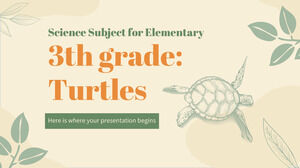 Science Subject for Elementary - 3rd Grade: Turtles