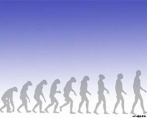인간의 진화 파워 포인트 템플릿