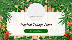 تصميم خلفية عرض تقديمي مجاني لنباتات أوراق الشجر الاستوائية لموضوعات شرائح Google وقوالب PowerPoint
