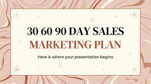 30 60 90 يوم - خطة تسويق المبيعات