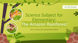초등학교 과학 과목 - 1~5학년 - 아마존 열대우림