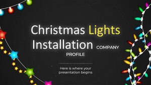 Empresa de instalación de luces navideñas