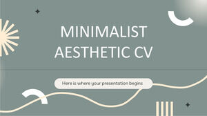 CV esthétique minimaliste