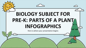 Subiect de biologie pentru pre-K: părți ale unei plante infografice