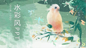 免费下载水彩鹦鹉背景插画风格PPT模板