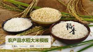 قالب PPT لموضوع عطر الأرز مع حبيبات الأرز وثلاثة سلطانيات من خلفية الأرز