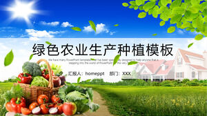 Download the green agriculture PPT template with the background of blue sky, white clouds, farmland and vegetables