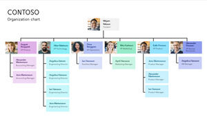 Darmowy szablon Powerpoint dla hierarchicznej struktury organizacyjnej