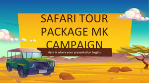 Safari 旅游套餐 MK 活动