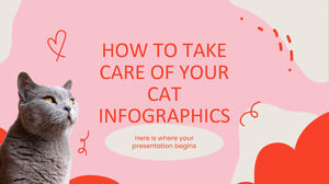 Jak dbać o swojego kota Infografiki