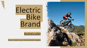 Бизнес-план бренда электрических велосипедов