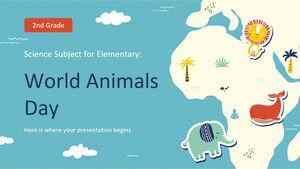 小学2年生の理科：世界動物の日
