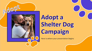 Adopta una campaña de perros de refugio