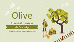 オリーブ収穫期 MKキャンペーン