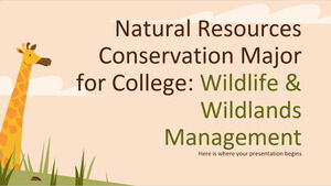대학 천연 자원 보존 전공 : 야생 동물 및 야생 지대 관리