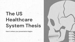 The US Healthcare System Thesis