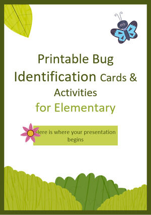 Tarjetas imprimibles de identificación de insectos y actividades para primaria