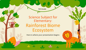 小学～5年生向け理科科目: 熱帯雨林バイオーム生態系