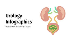 Infographie d'urologie