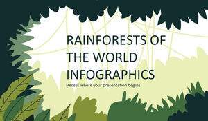 Lasy deszczowe świata infografiki