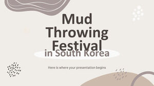 Festival de arremesso de lama na Coreia do Sul
