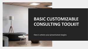 Basic Customizable Consulting Toolkit