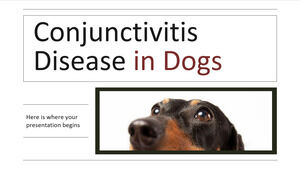 مرض التهاب الملتحمة في الكلاب