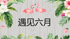 Акварельные цветы Фламинго фон встречают июнь скачать шаблон PPT