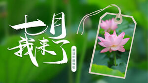 Je suis venu télécharger le modèle PPT de juillet avec une feuille de lotus verte et un fond de lotus rose