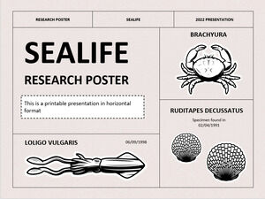 Sealife-Forschungsplakat