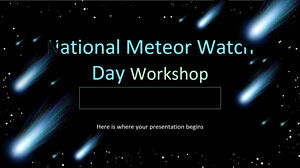 全国流星观测日研讨会