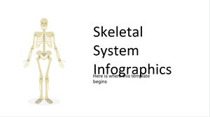 Infografiken zum Skelettsystem