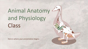 動物の解剖学と生理学クラス