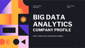 Unternehmensprofil für Big Data Analytics