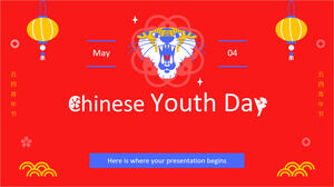 Ziua Tineretului Chinez