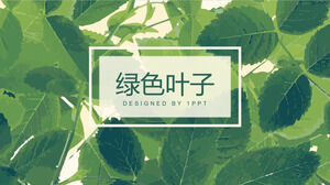 Download template PPT latar belakang daun cat air hijau