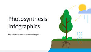 Infographie de la photosynthèse