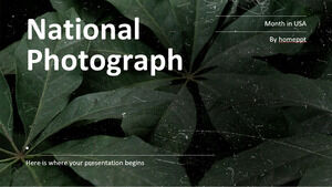 Mese nazionale della fotografia negli Stati Uniti