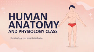 Класс анатомии и физиологии человека