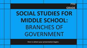 Matière d'études sociales pour le collège - 7e année : Branches du gouvernement